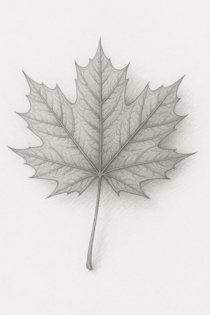 drawing ideas